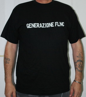 generationFLNC_2